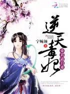 男主叫南宮夜女主叫齊妃云的穿越叫什么名字