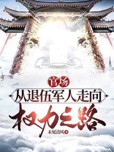 權(quán)力巔峰之路TXT