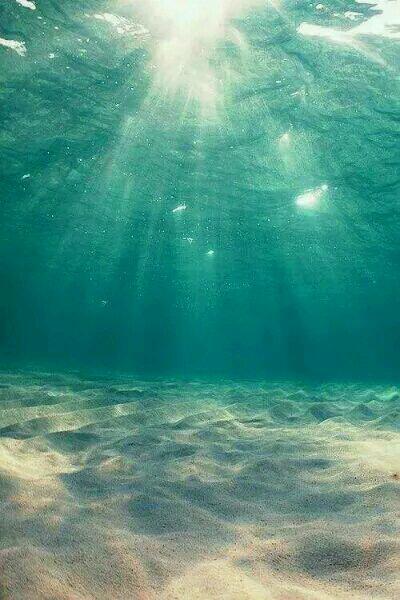 最佳女婿結局了嗎