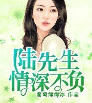 陸先生情深不負免費閱讀