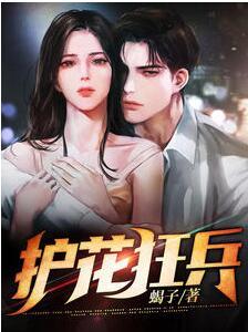 護(hù)花狂兵 天涯浪子