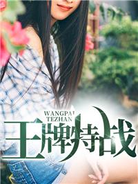 王牌特戰(zhàn)葉新