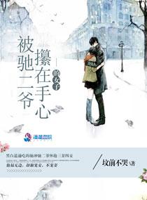 紀(jì)鹿陸燃小說